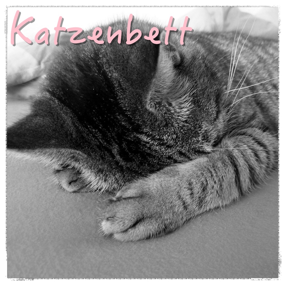 Katzenbett